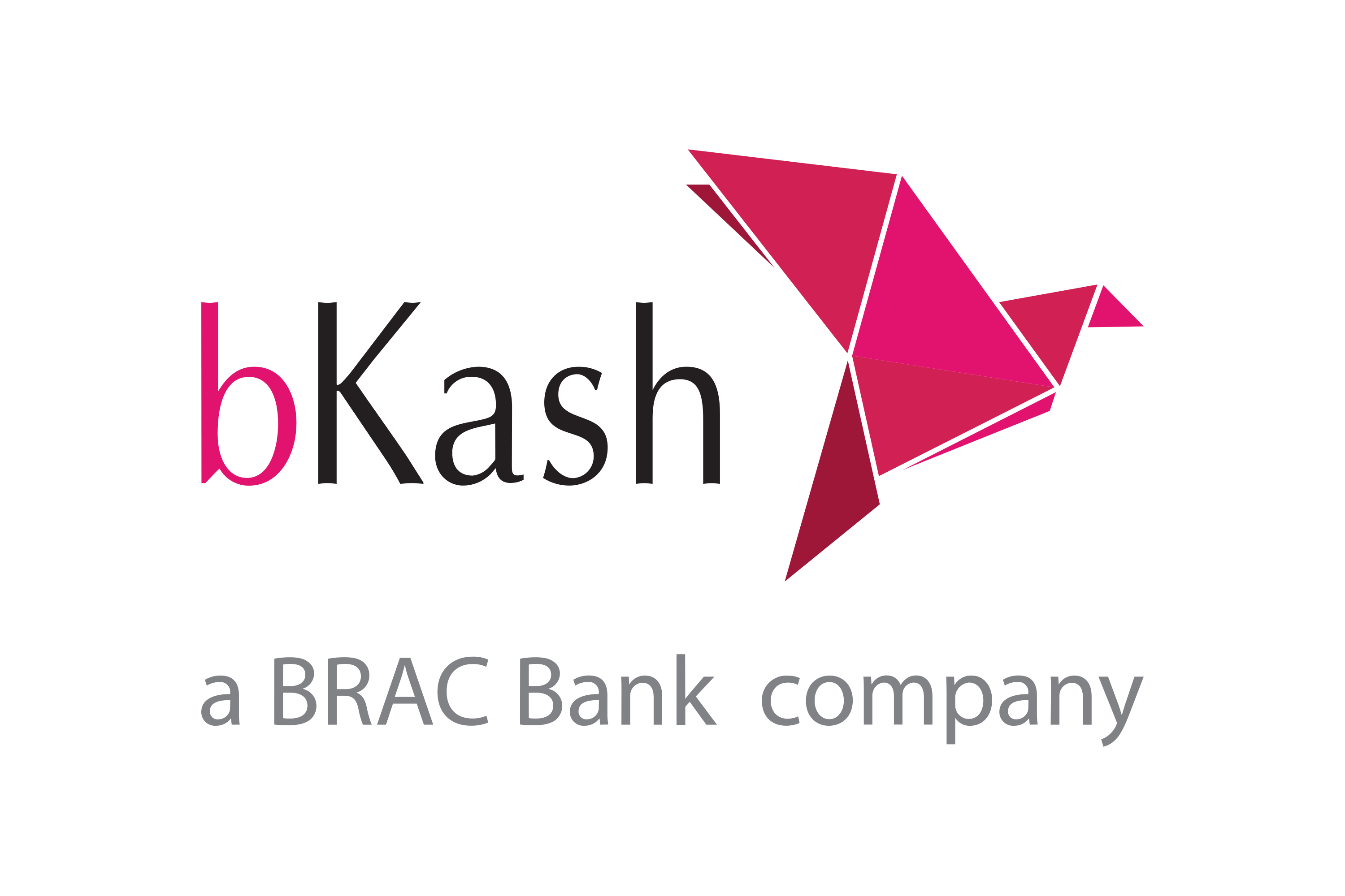 BKash-Logo.wine.png